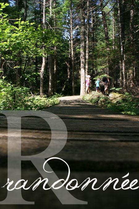 Abécédaire d'un été :: P-T