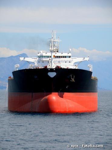 Biodiversité : les activités humaines en mer perturbent les espèces marines