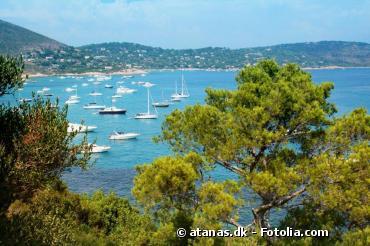 9 ports de plaisance français récompensés pour leur gestion durable