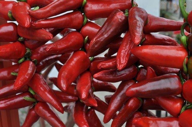 Souvenirs de vacances...