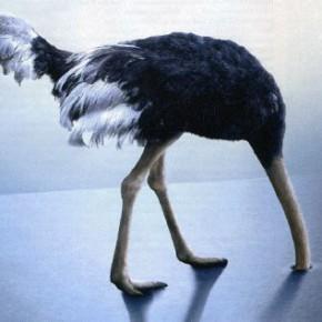 Les fameux 2 milliards du CF