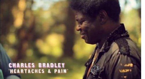 CHARLES BRADLEY - HEARTACHES & PAIN - PITCHFORK.TV