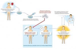 Déficit immunitaire combiné sévère (DICS): L’espoir confirmé de la thérapie génique  – Science Translational Medicine
