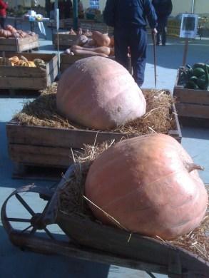 Marché des producteurs de Ondes