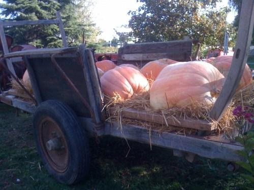 Marché des producteurs de Ondes
