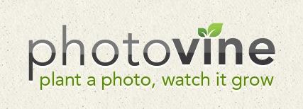 photovine1 Google tire un trait sur Slide