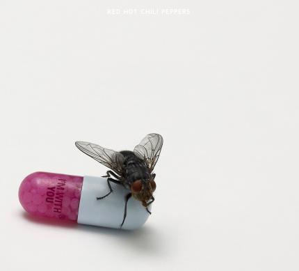 Apple vous offre l'écoute gratuite du dernier album de Red Hot Chili Peppers - I'm with you...