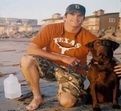 Chien pleure son maître mort au combat