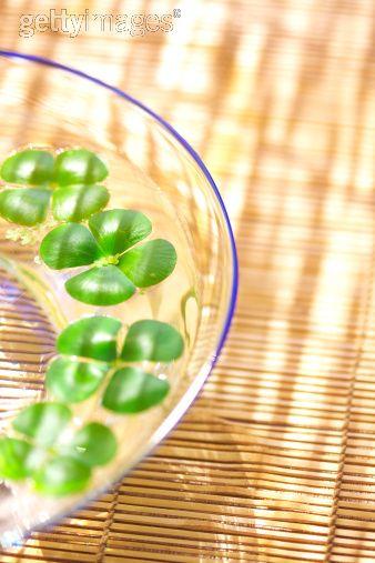 Voici une petite histoire…