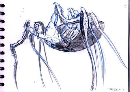 nl-24-araignée