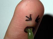 Good as... doigts expressifs