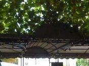 grappe raisin, restaurant Monflanquin