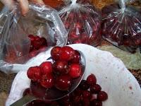 Je joue les écureuils