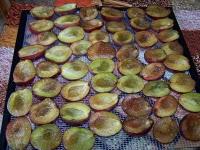 Je joue les écureuils