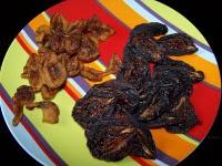 Je joue les écureuils