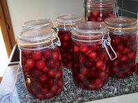 Je joue les écureuils