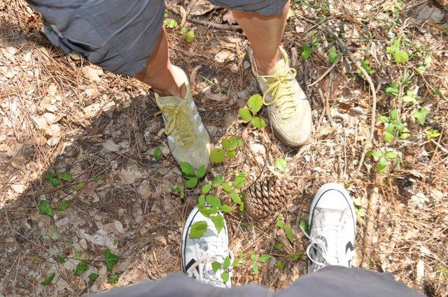 Souvenirs de vacances part.2