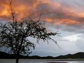 Keep Shelly Athens: Dream Quelque absent...