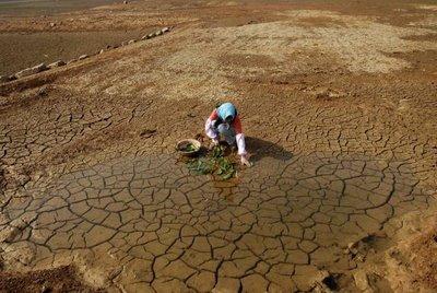 Lutte contre la désertification et la sécheresse