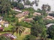 Cameroun/Nigeria: libération commandant navire attaqué