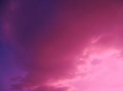 poésie,poèmes,poètes,société,écriture,livre,recueil