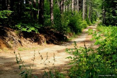 Encore des photos au lieu des mots