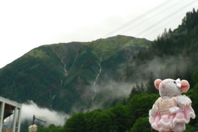 Pomme dans le Grand Nord