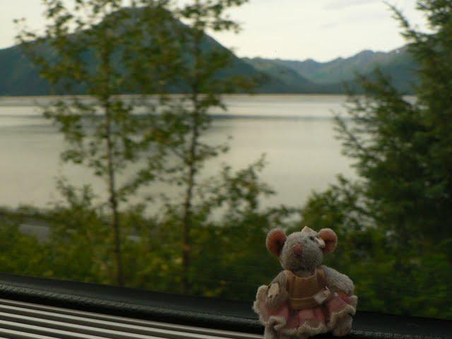 Pomme dans le Grand Nord