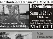 Palmiers-de-crabes !...