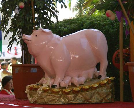 cochon-nouvel-an-chinois.1203851400.jpg