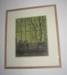 Aïssata et Vincent Bioulès medium_P1010022.3.jpg