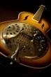 LE DOBRO, UN COUSIN DE LA GUITARE