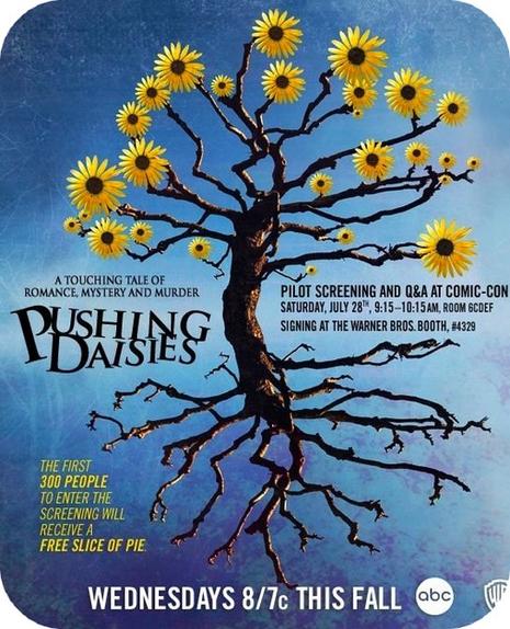 Pushing Daisies - Review - Critique - Pilot
