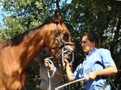 métier nouveau Ampus