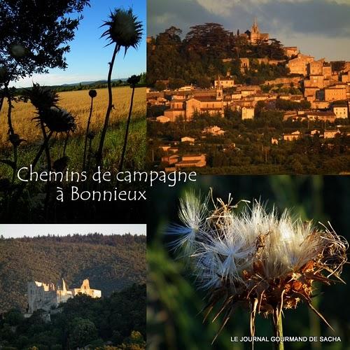 Le galaktoboureko + balade en images à Roussillon en Provence et le long des chemins de Bonnieux