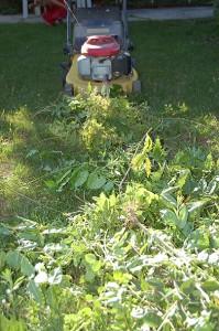 Broyez sans broyeur ?