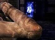 Amy, nouvelles images vidéos