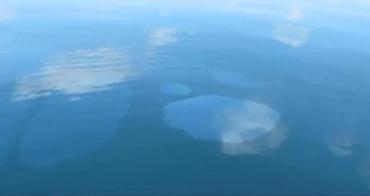 Nouvelles traces de pétrole dans le Golfe du Mexique