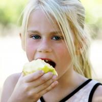 De l'abord de la complexité : manger local