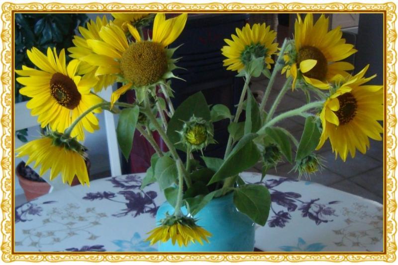 Mon blog a 4 ans, 31 août 2011