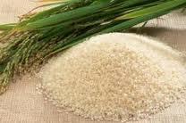 alimentation,planète,terre,population,afrique,calorie