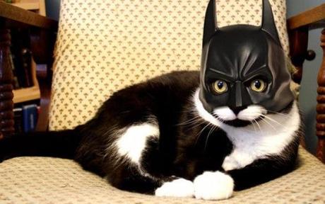 batman catwoman Serait ce le fils de Batman et de Catwoman ?