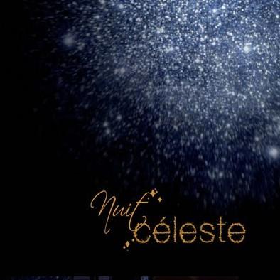 Nuit Céleste Givenchy… Collection éphémère Noël 2011!