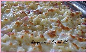 370885_693215546_gratin-coquillettes-aux-2-fromages_H221959.jpg