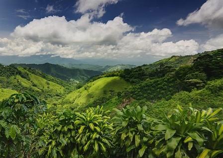 Costa Rica : l'écotourisme peut-il avoir des conséquences négatives ?