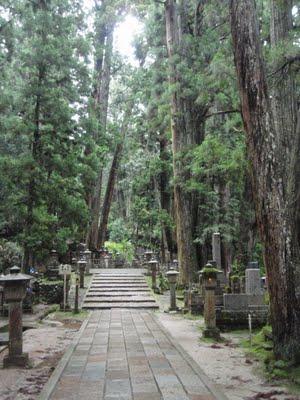 Koya-san: le cimetière dans la forêt