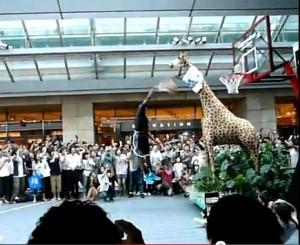Dwight Howard dunk sur une girafe