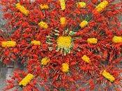 Saint Fiacre fêté Orléans