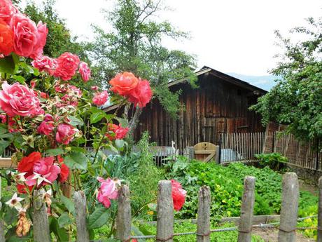 Combloux jardin fleuri - Photo Miss Cécile Face au Mont-Blanc : balade à Combloux