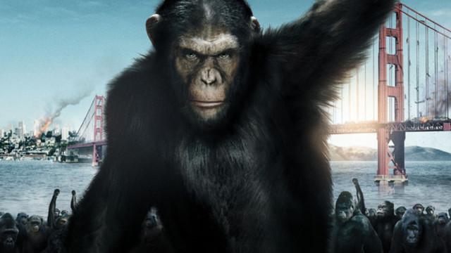 Box Office – Semaine du 24 août 2011